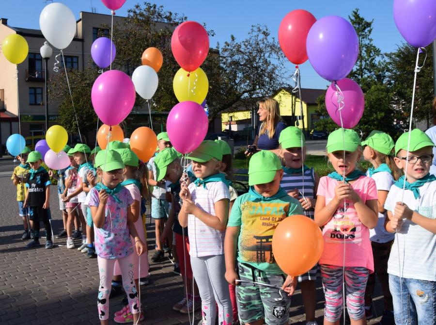 Wyświetl org. rozmiar 