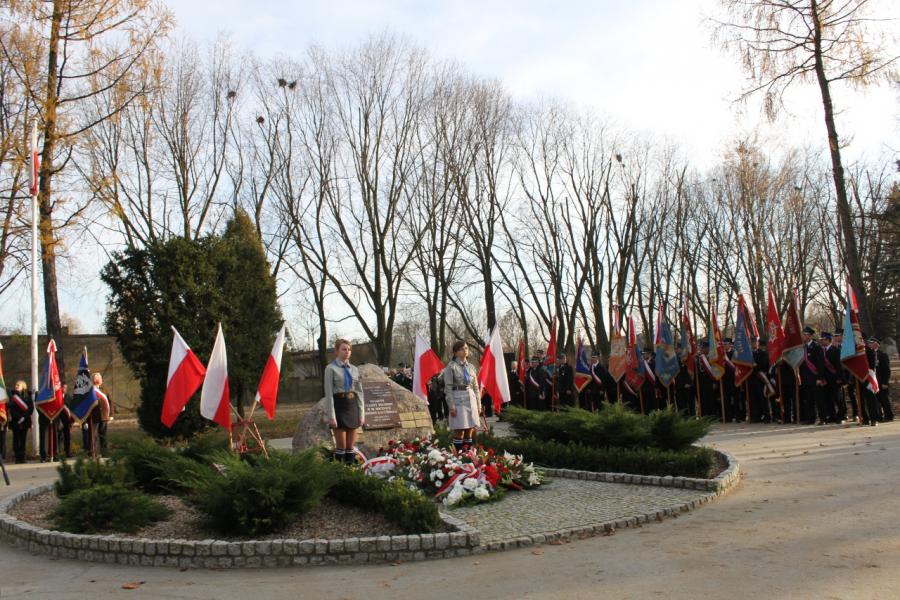 Wyświetl org. rozmiar 