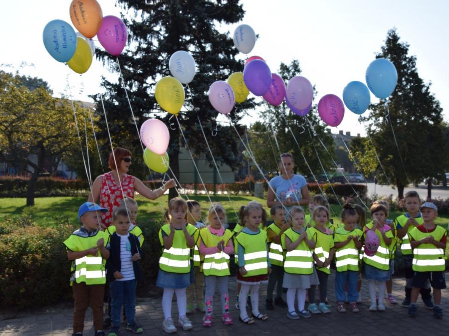 Wyświetl org. rozmiar 