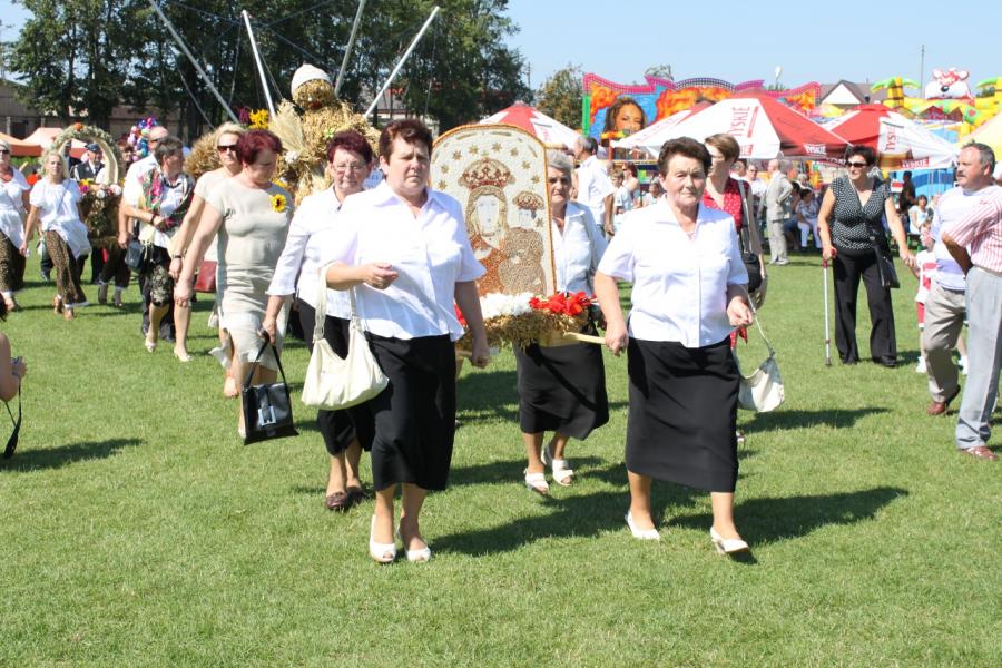 Wyświetl org. rozmiar 