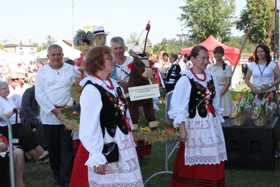 Wyświetl org. rozmiar 