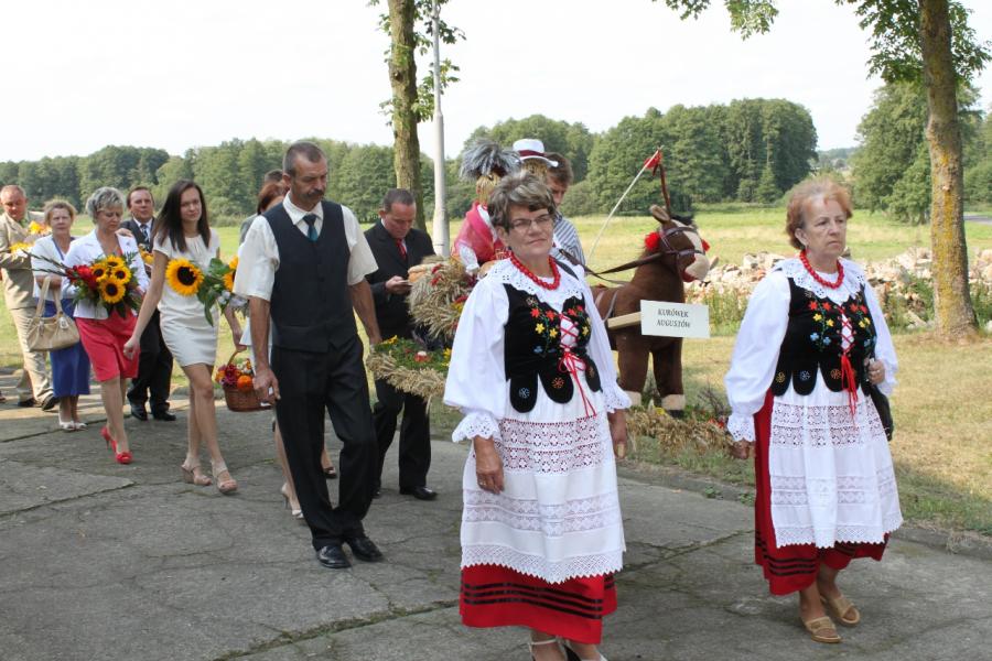 Wyświetl org. rozmiar 