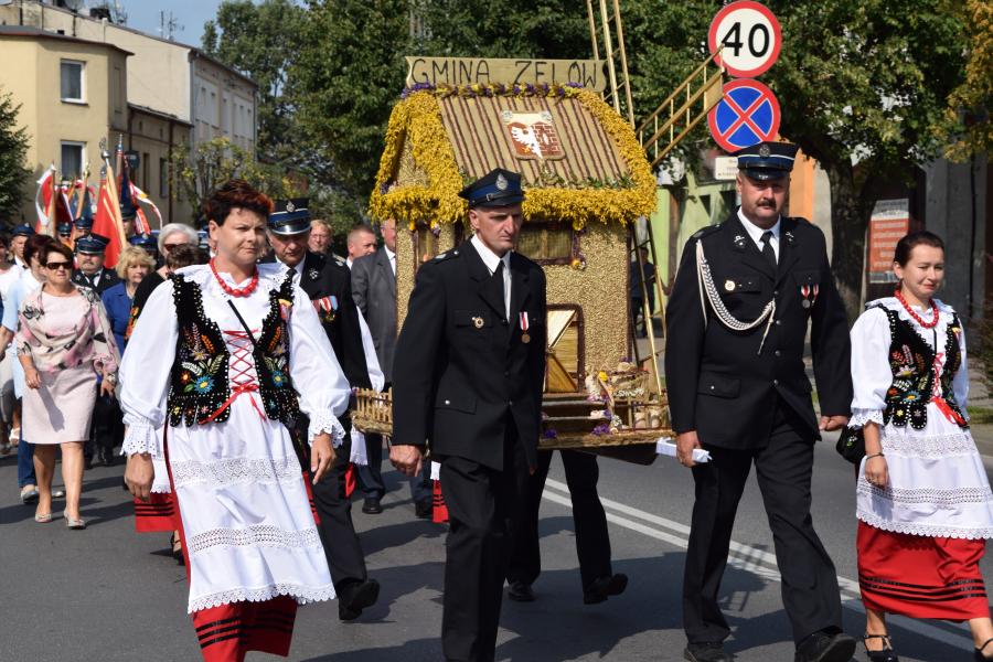 Wyświetl org. rozmiar 