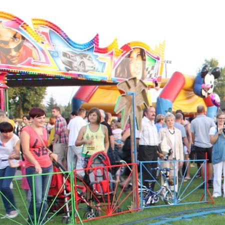 Wyświetl org. rozmiar 