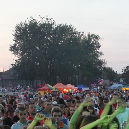 Wyświetl org. rozmiar 