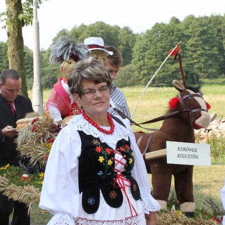Wyświetl org. rozmiar 