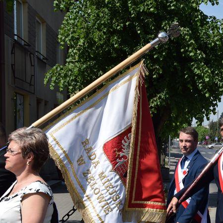 Wyświetl org. rozmiar 