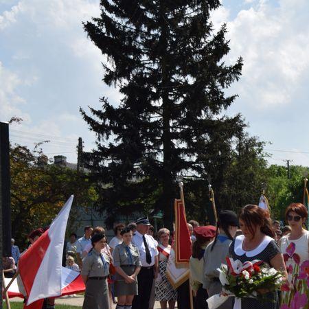 Wyświetl org. rozmiar 