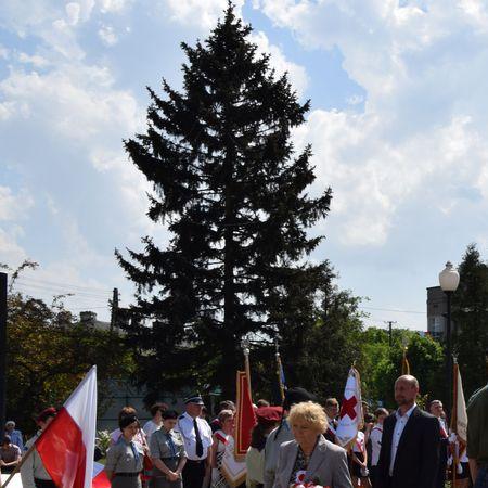 Wyświetl org. rozmiar 