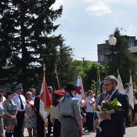 Wyświetl org. rozmiar 