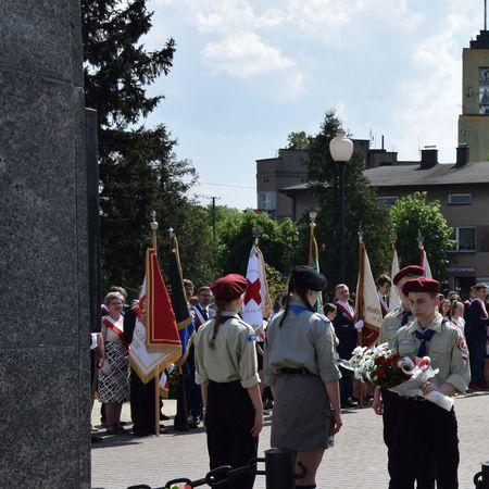 Wyświetl org. rozmiar 