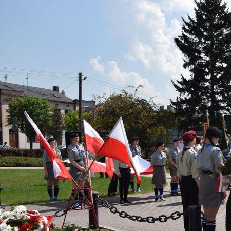 Wyświetl org. rozmiar 