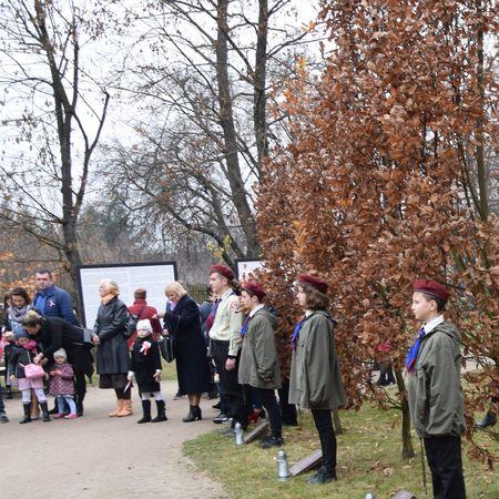 Wyświetl org. rozmiar 