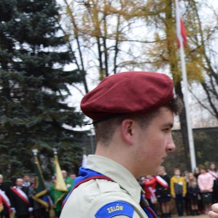 Wyświetl org. rozmiar 
