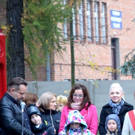 Wyświetl org. rozmiar 