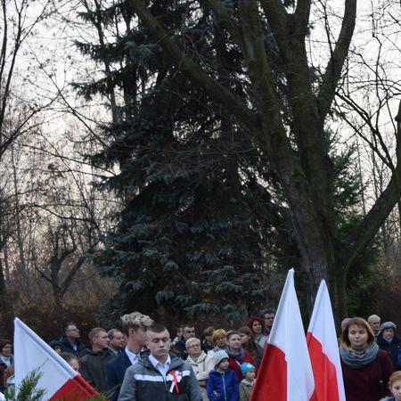 Wyświetl org. rozmiar 