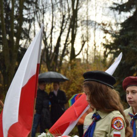 Wyświetl org. rozmiar 