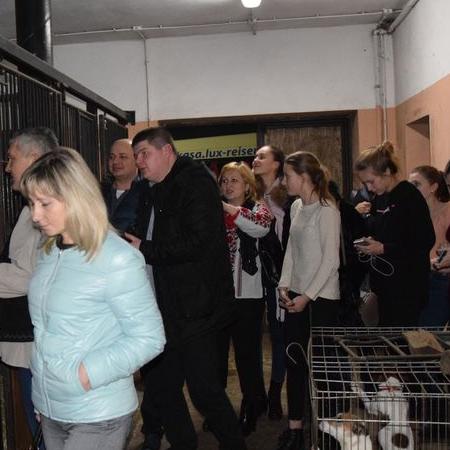 Wyświetl org. rozmiar 