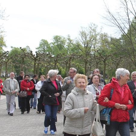 Wyświetl org. rozmiar 