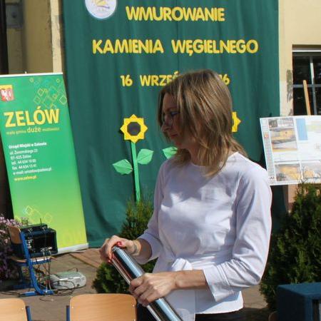Wyświetl org. rozmiar 