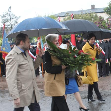 Wyświetl org. rozmiar 