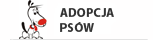 Przejdź do: Adopcja psów