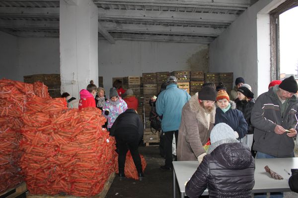 akcja wydawania bezpłatnych owoców i warzyw1
