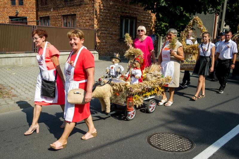 Dożynki Powiatowe w Zelowie