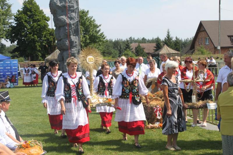 wieniec