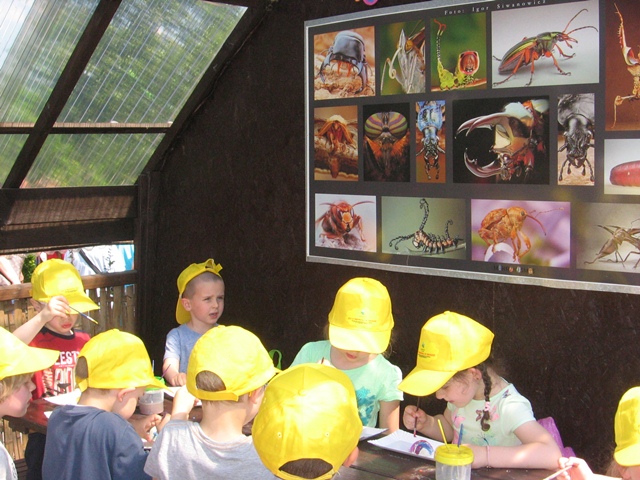 Mikrokosmos Mikrokosmos