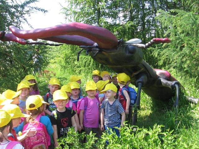 Mikrokosmos Mikrokosmos