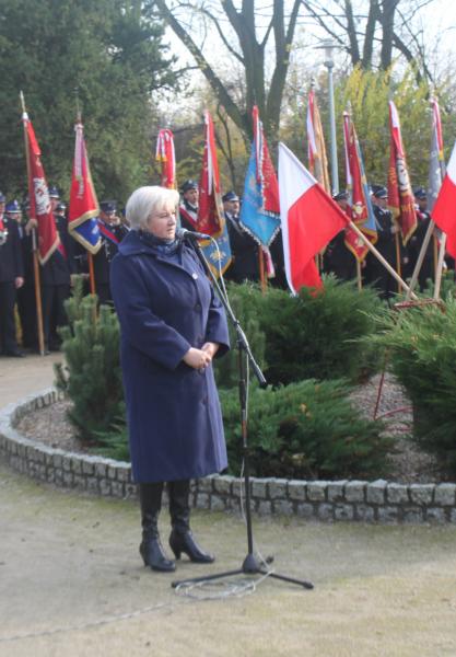 Dzień Niepodległości 2014