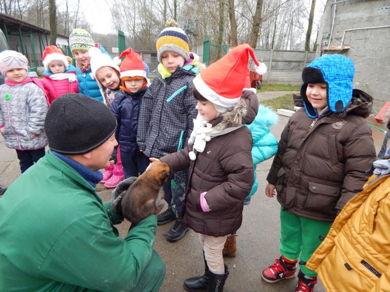 przedszkolaki w schronisku
